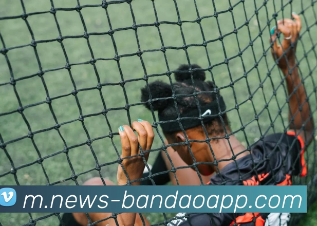 半岛体育APP 高清赛事图